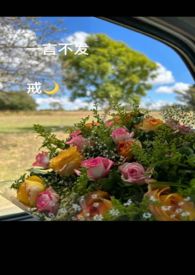 一言不发小说后续情节